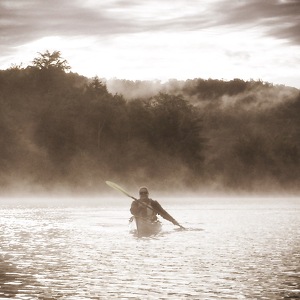 Fundraising Page: Lisa Clemens 